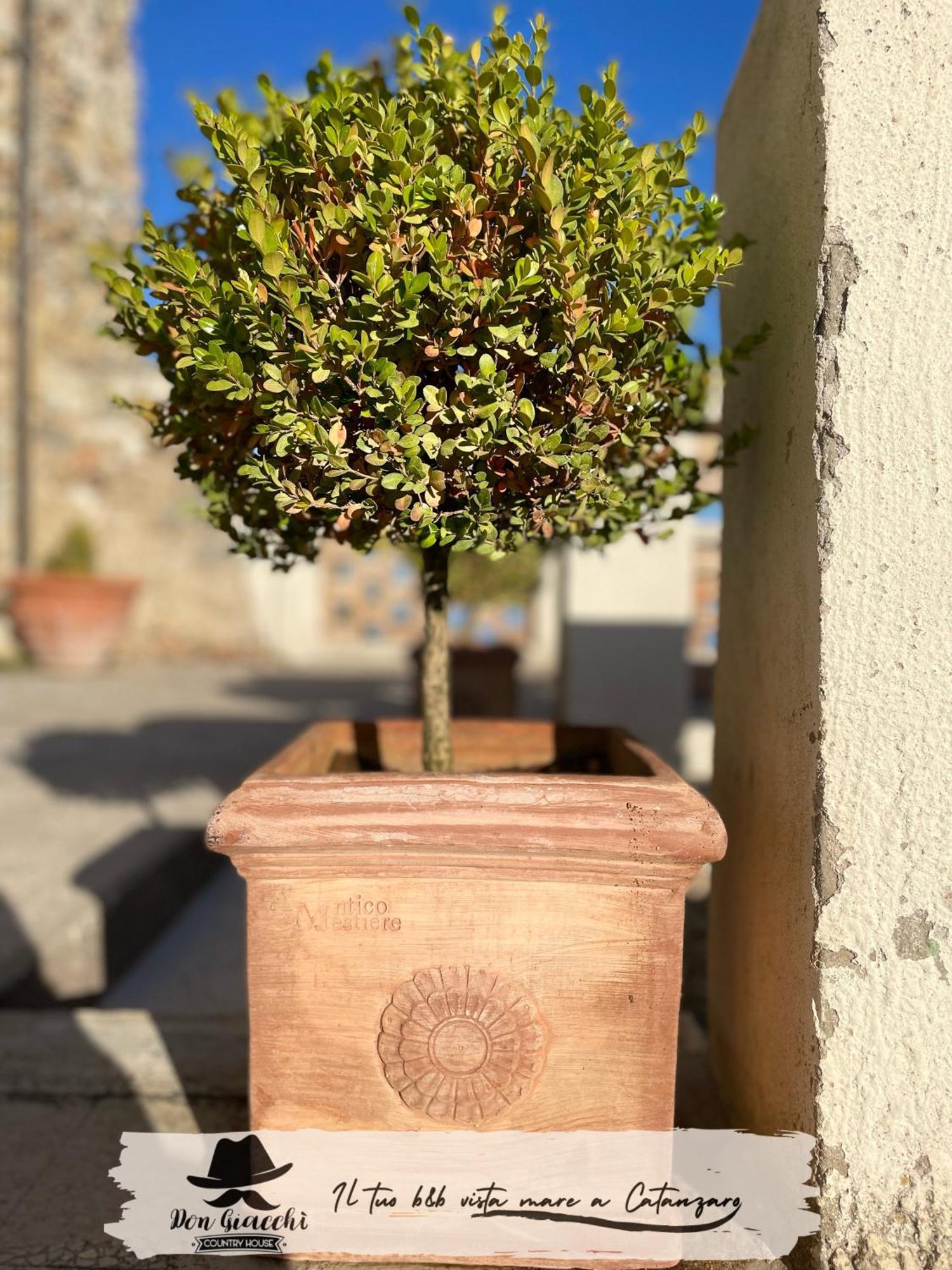 Don Giacchì Country House Catanzaro Esterno foto