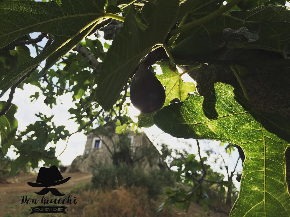 Don Giacchì Country House Catanzaro Esterno foto